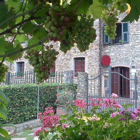 Agriturismo A Veggia Vigna Vila Garlenda Exterior foto